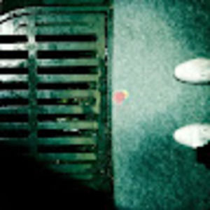 Meet your Posher, Natasha